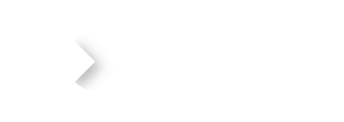 LeanIX